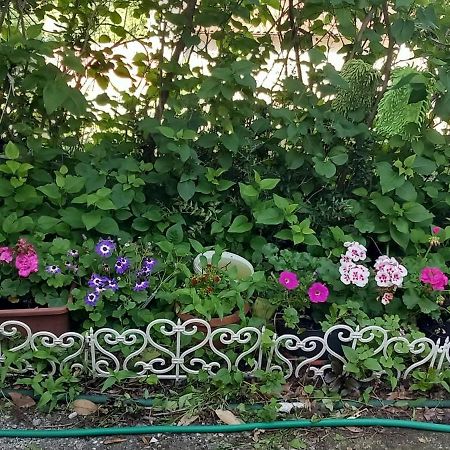 Apartman Svilno Rijeka Luaran gambar