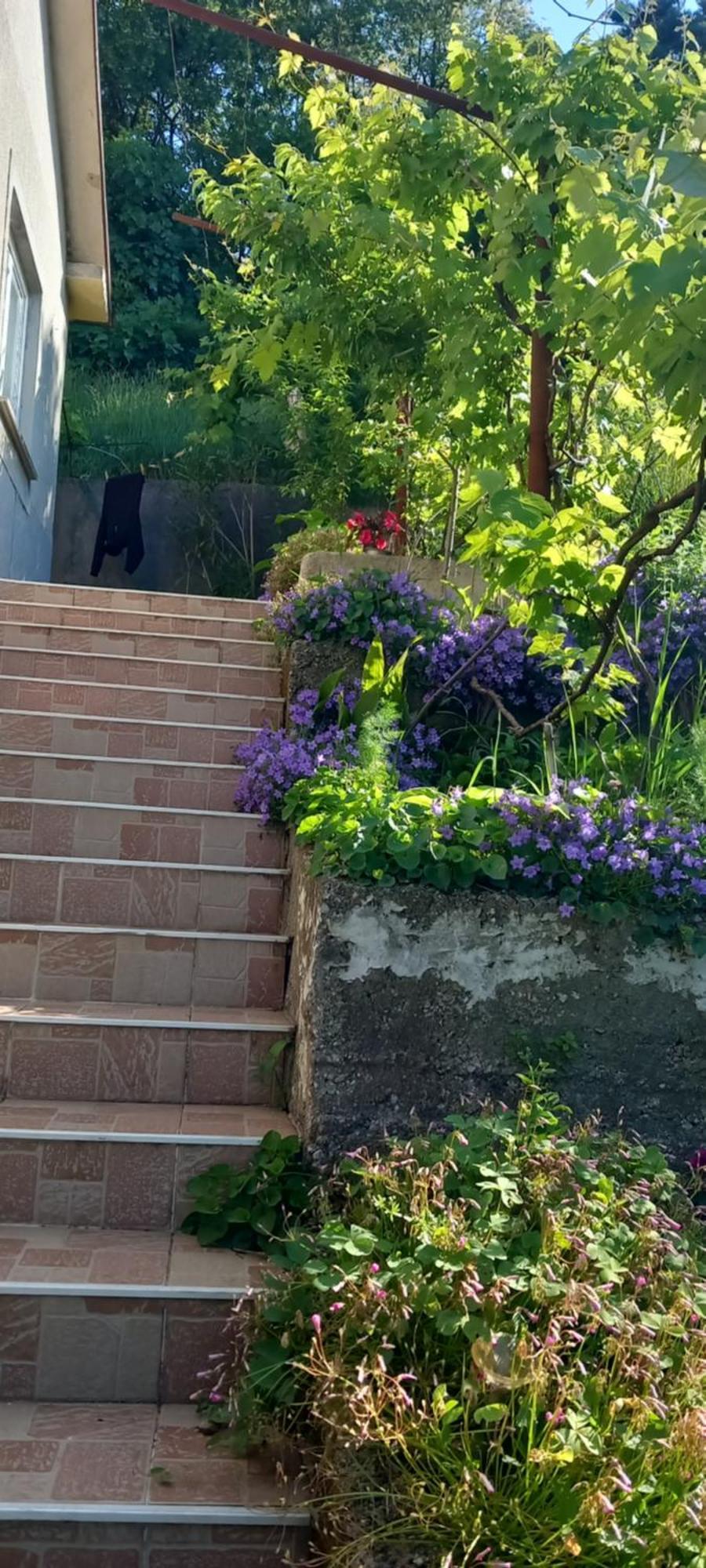 Apartman Svilno Rijeka Luaran gambar